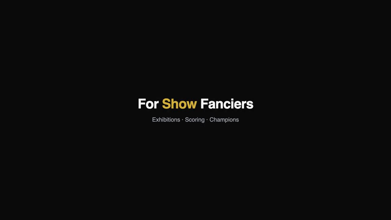 Show & Fancy