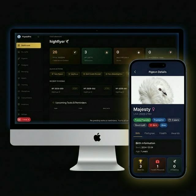 PigeonPro — Desktop Dashboard & Mobile App